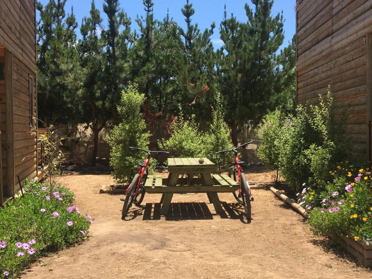 Cabana En Tunquen Con Parrilla, Fogon, Piscina Y Bosque Exterior foto